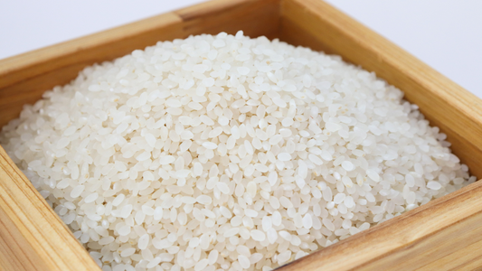 riz, riz japonais